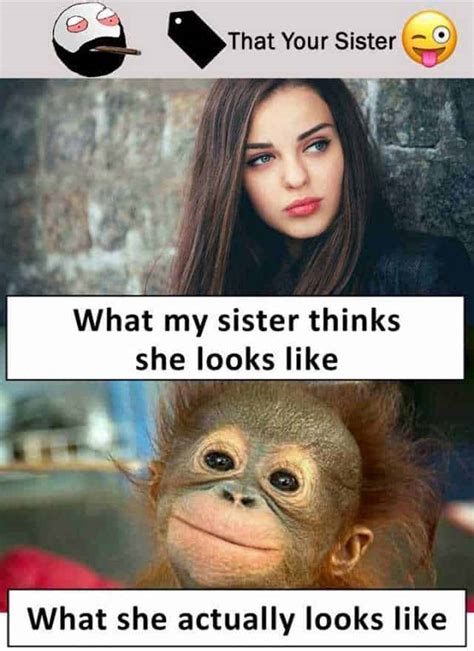 30 Totally Funny Sister Memes We Can All Relate To - SayingImages.com