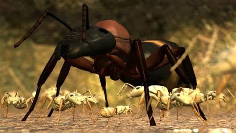 Ant Simulator | PCGamesN