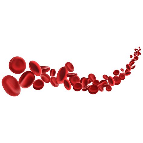 Blood Cell Clipart