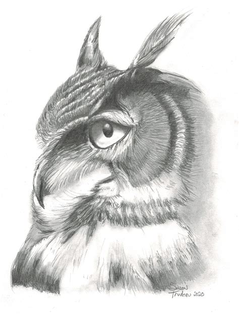 Owl Face in Profile-realistic Pencil Original Artwork-realism-drawing ...