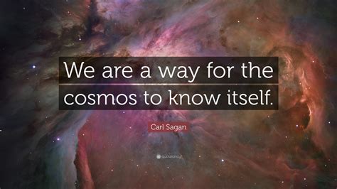 Carl Sagan Quote: “We are a way for the cosmos to know itself.” (8 ...