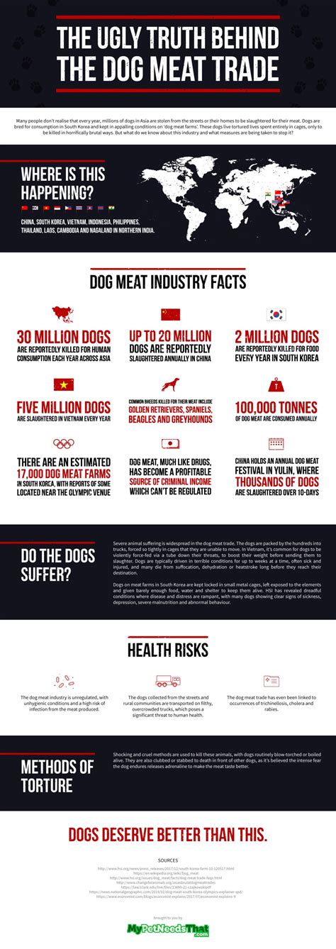 The Ugly Truth Behind The Dog Meat Trade - Vietnam Insider