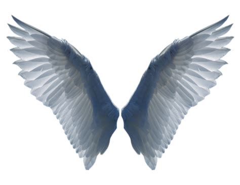 Angel wings art, Wings png, Angel wings tattoo