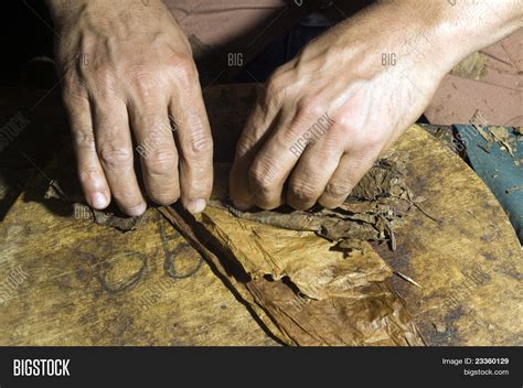 Hand Rolling Tobacco Image & Photo (Free Trial) | Bigstock