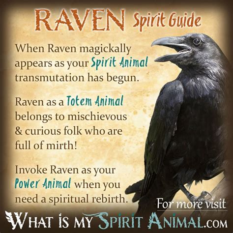 Biblical Meaning Of Raven In A Dream - DREAMAIP