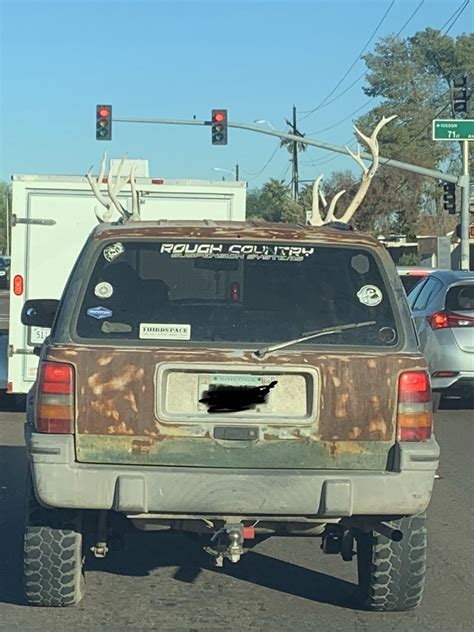 Antlers make a great car decoration. : r/Shitty_Car_Mods