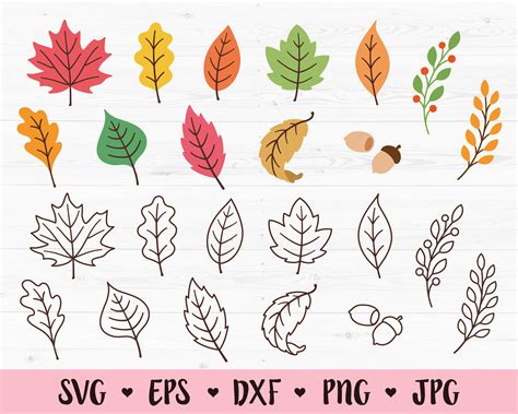 Fall Leaves SVG Bundle Autumn Leaf Cut File October November | Etsy