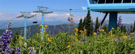 Idaho Ski Resort Brundage Mountain - The Best Snow in Idaho