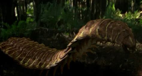 Arthropleura | Prehistoric Park Wiki | FANDOM powered by Wikia