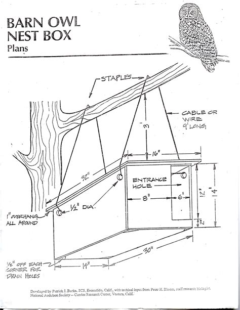 DIY barn owl nesting box plans, pg 1 | Owl nest box, Nesting boxes ...