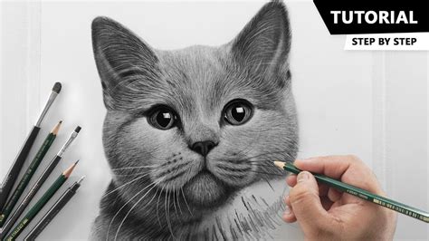 Aggregate more than 70 cat sketch realistic best - seven.edu.vn