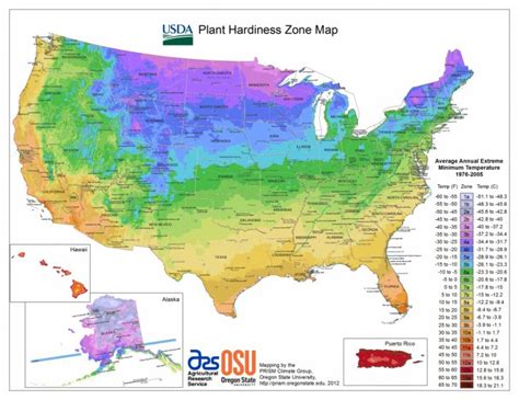 Usda Hardiness Zone Finder - Garden - Florida Growing Zones Map ...