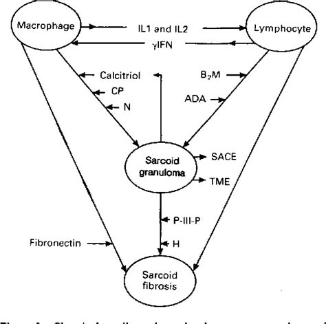 Figure 1 from Lupus Pernio | Semantic Scholar