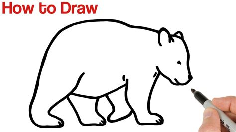 Easy Pictures Of Animals To Draw