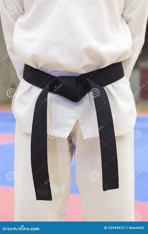 Taekwondo Black Belt Royalty Free Stock Photo - Image: 22945475