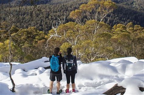 Snow on kunanyi/Mt Wellington - City of Hobart, Tasmania Australia