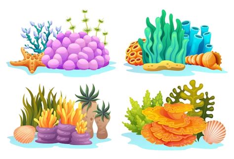 Premium Vector | Collection of coral reefs with seashells in various ...