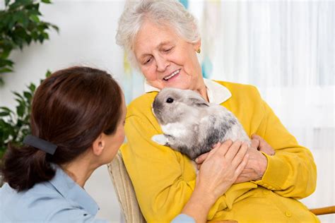 4 Popular Therapy Animals