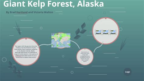 Giant Kelp Forest, Alaska by Vicky Braddles on Prezi