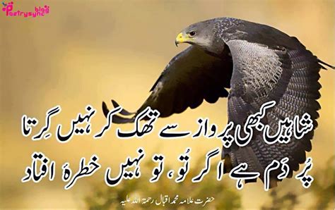 Poetry: Allama Iqbal Motivational Poetry Pictures in Urdu on Life ...