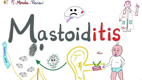 Mastoiditis | Causes, Signs, Symptoms, Diagnosis, Treatment ...