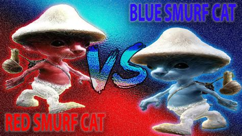 Smurf cat Wallpapers on WallpaperDog