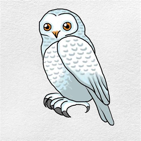 Snowy Owl Drawing - HelloArtsy