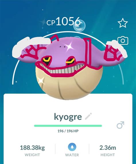 my shiny kyogre : r/pokemongo