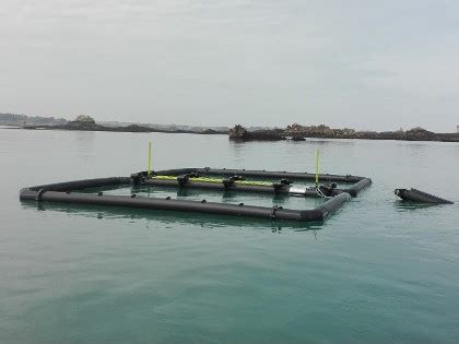 Seaweed farming system - Reusable plastic products for the food ...