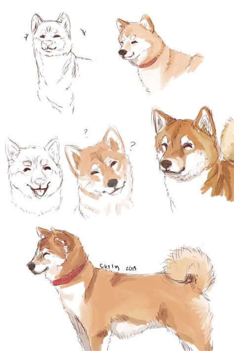 Dog Drawing Reference and Sketches for Artists