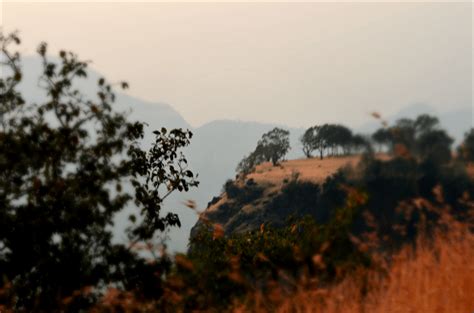 Rajmachi Fort Trek Which Turned Into a Blissful Nightout