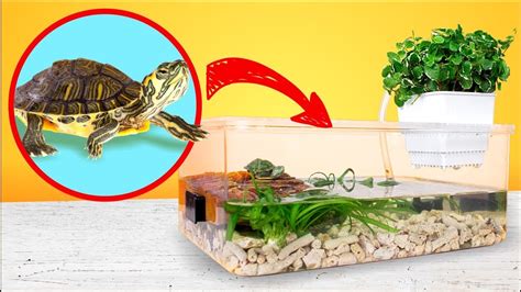 How To Make A Red Eared Slider Turtle Tank?