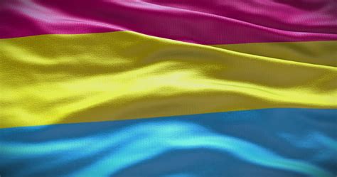 Details more than 53 pansexual flag wallpaper latest - in.cdgdbentre