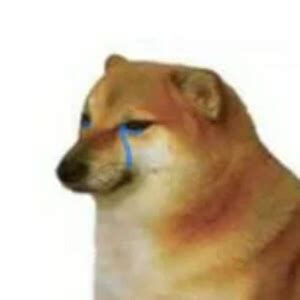 Swole Doge and Crying Cheems 2/2 (Crying Cheems - Discord Pfp