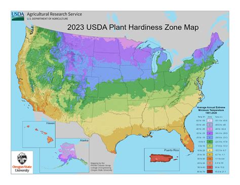 USDA Plant Hardiness Zone Map | Planting Zones Map USA - Garden.org