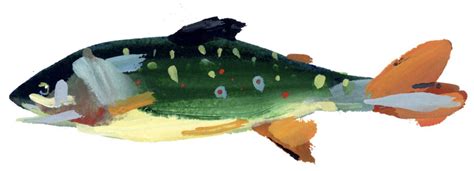 Painting the Elusive Brook Trout | Gotham Canoe