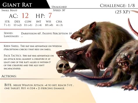 Rat, Giant by Almega-3 | Dnd dragons, Monster cards, Dnd monsters