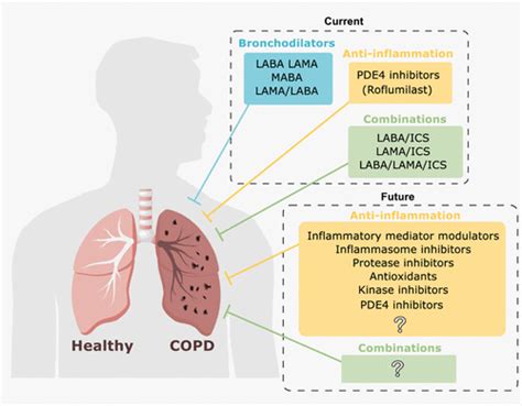 Chronic Obstructive Pulmonary Disease Copd