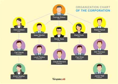 Organizational Chart Template With Pictures