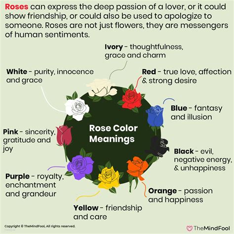 Rose Flower Symbolism & The Complete Guide to Rose Color Meanings ...