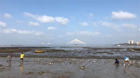 BMC to Construct Floodgates at Mahim Causeway to Avoid Flooding of ...