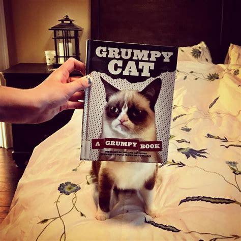 Grumpy Cat doesn't like #bookfacefriday. #bookface #grumpycat | Grumpy ...