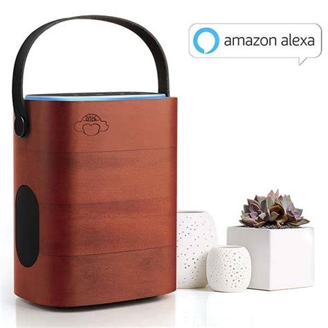 MK Portable Alexa Wireless Speaker | Gadgetsin