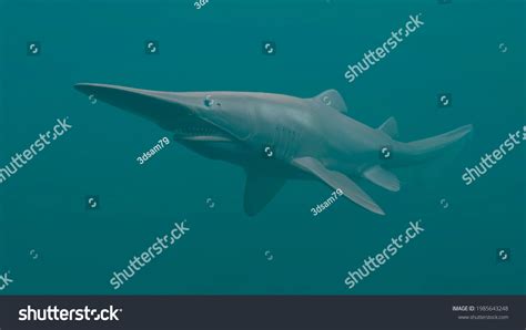 Goblin Shark Deep Sea 3d Rendering Stock Illustration 1985643248 ...