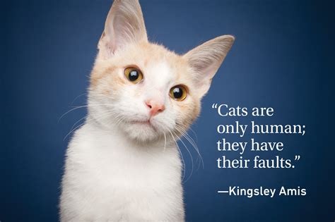 Cat Quotes Every Cat Owner Can Appreciate | Reader's Digest