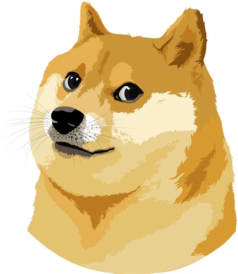 Doge Vector Illustration transparent PNG - StickPNG