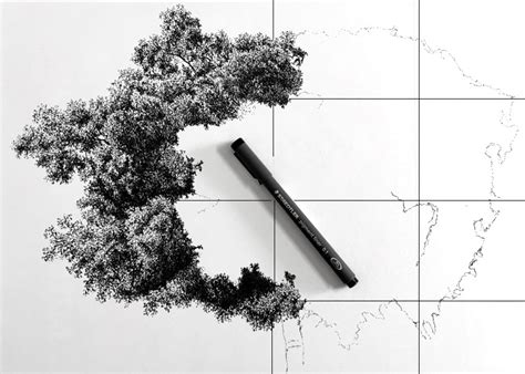 Drawings Of Trees In Pencil