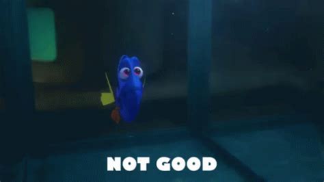 Not Good GIF - FindingDory Dory NotGood - Discover & Share GIFs