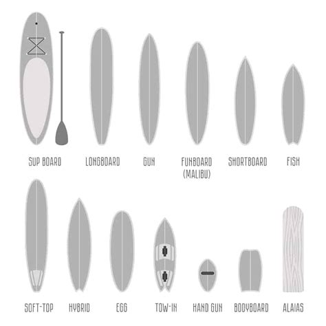 surfboard shapes guide shortboard longboard mini mal fish retro h=gun ...