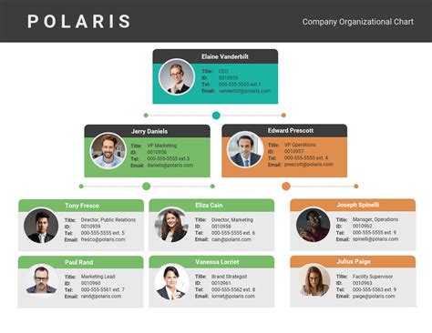 Organizational Chart: Definition, Examples & Templates